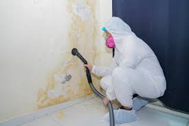 Best Basement Mold Removal  in Hiller, PA